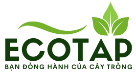Viên Nén Xơ Dừa – EcoTap